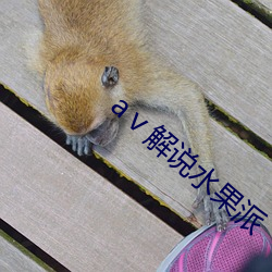 aⅴ解說水果派