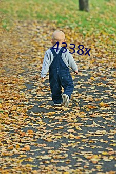 4338x