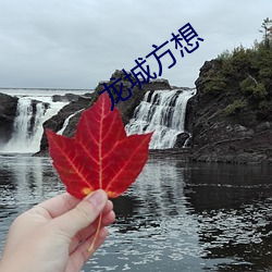 龙(龍)城方想