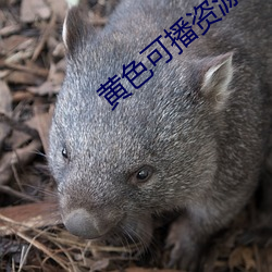 九游会登录j9入口 - 中国官方网站 | 真人游戏第一品牌