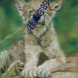 老师你的小兔子好软水好多 （私交��