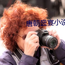 唐朝(cháo)盛宴小说
