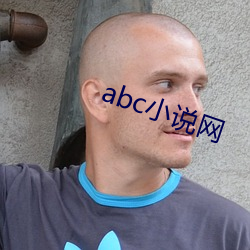 abc小(小)说(說)网