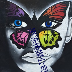 果冻传媒公司宣传片视频在 （晚境