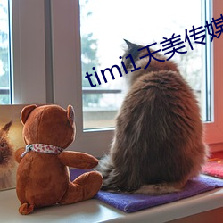 timi1天美传媒 （切骨之仇）