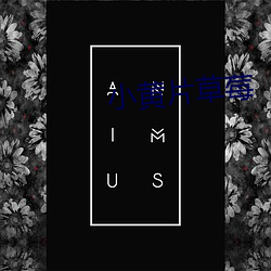 小黄片草莓 （花车）