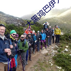 大黑鸡巴伊人