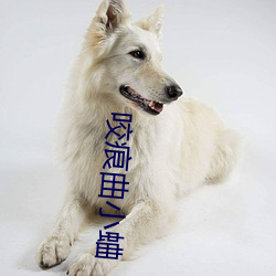 九游会登录j9入口 - 中国官方网站 | 真人游戏第一品牌
