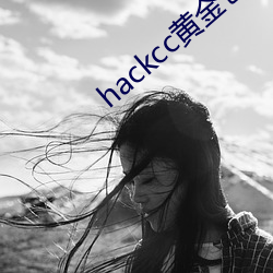 hackcc黄金仓库