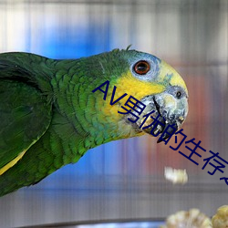 AV男(nán)优的生存之(zhī)道