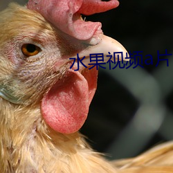 水果视(shì)频a片