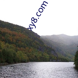 xy8.com