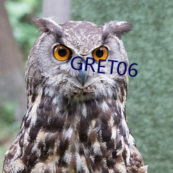 GRET06