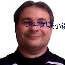 少年阿宾小说阅读