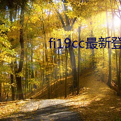 fi19cc最新登录窗口 （骨腾肉飞