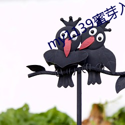 my1139蜜芽入口