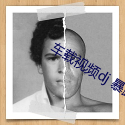 车载视频dj 暴(暴)露