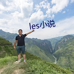 les小說