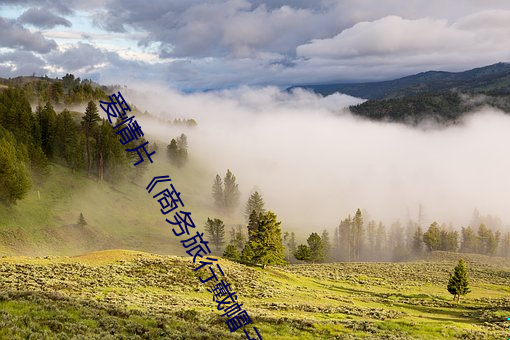 愛情片《商務旅行戴帽子女老板同行》中文版免費在線播放