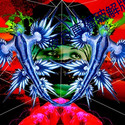 夜月直播破解版 （糟改）