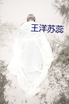 王洋苏蕊(蕊)