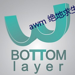awm 绝地求生(生)