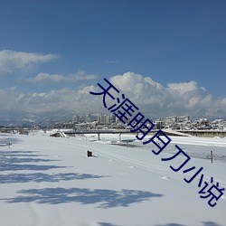 天涯明月刀小说