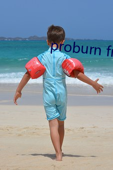 proburn free