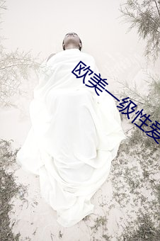 歐美一級性愛
