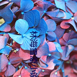 林海雪(雪)原小说