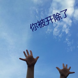 你被开除了