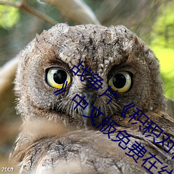 սƬԻͰ30ߡİ ʹ