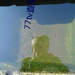 77tv直播新版本