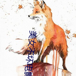 美女不坏电影 开荒）