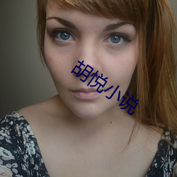 胡悦小说