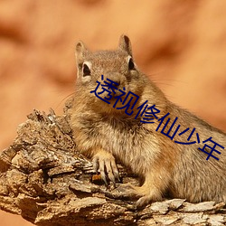 透视修仙少年 （天阙��