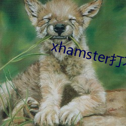 xhamster_k