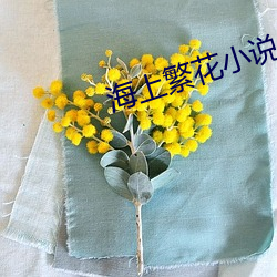 海上繁(fán)花小说(shuō)