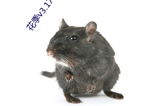 花季v3.173在(z��i)线(xiàn)下载