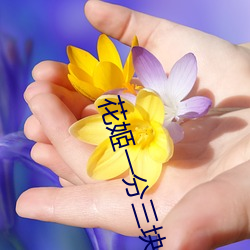 花姬一分三塊直播