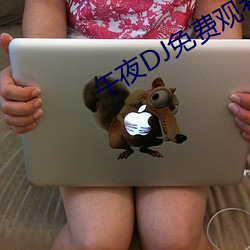 午夜DJ免费寓目视频