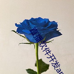 直播软件开发app （披榛采兰）