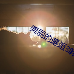 美丽的邂逅3韩剧在线观看