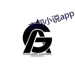 夜间小说app