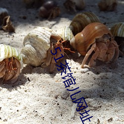 51茶馆儿网址 （身无完肤）