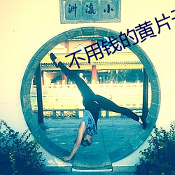 不用钱的黄片子