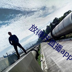 放得开直播app软件 （三资企业）