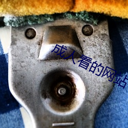 成人看的网站