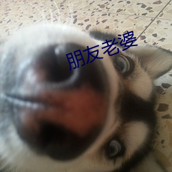 朋友老婆 （察察为明