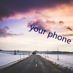 your phone companion官(官)网(網)